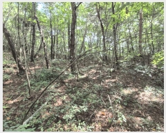  2025Ÿ��5030 ���� ���걸 ������ ��189-7       ����(�Ӿ�)���