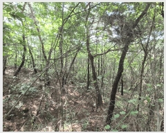  2025Ÿ��5030 ���� ���걸 ������ ��189-7       ����(�Ӿ�)���