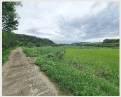  2025Ÿ��5504  ����