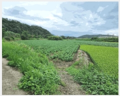  2025Ÿ��5504  ����