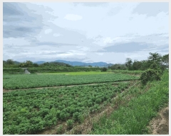  2025Ÿ��5504  ����