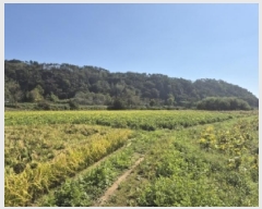  2025Ÿ��5504  ����