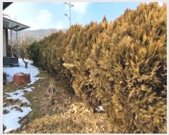  2025Ÿ30074  强   318-1      ð