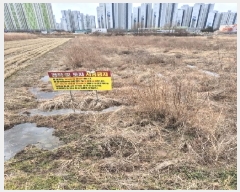  2025Ÿ��31480 ���� �ϱ� �ſ뵿 478-2       ����(��)���