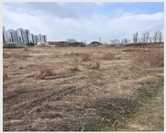  2025Ÿ��31480 ���� �ϱ� �ſ뵿 478-2       ����(��)���