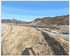  2025Ÿ��31994  �����