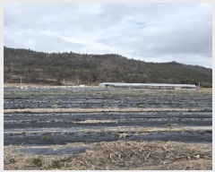  2025Ÿ��31994  �����