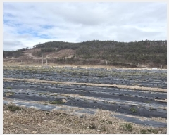  2025Ÿ��31994  �����