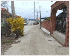  2025Ÿ32383  ֽ õ ̰ 342-1      ()