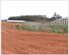  2025Ÿ32383  ֽ õ ̰ 301-1      ()