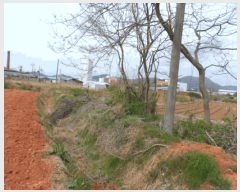  2025Ÿ32383  ֽ õ ̰ 342-1      ()