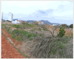  2025Ÿ32383  ֽ õ ̰ 342-1      ()