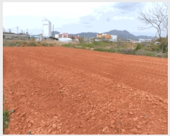  2025Ÿ32383  ֽ õ ̰ 342-1      ()