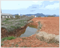  2025Ÿ32383  ֽ õ ̰ 342-1      ()