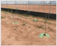  2025Ÿ32383  ֽ õ ̰ 342-1      ()