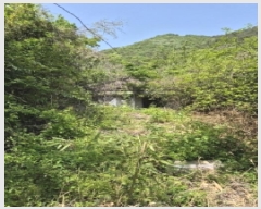  2025Ÿ32486  ȭ ȭ  375-2      ()