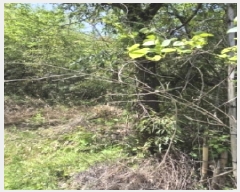  2025Ÿ32486  ȭ ȭ  375-2      ()