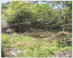  2025Ÿ32486  ȭ ȭ  375-2      ()