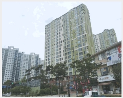  2025Ÿ32599  ϱ ſ뵿 737 ÷2κο 104 171703ȣ    Ʈ