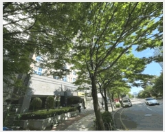  2025Ÿ��32889 ���� ���� ġ�� 1218 �󹫸�ä1 7��728ȣ     ����Ʈ���