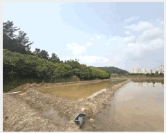  2025Ÿ��32903 ���� ���� �Ӿϵ� 456       ����(��)���