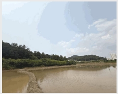  2025Ÿ��32903 ���� ���� �Ӿϵ� 456       ����(��)���