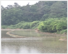  2025Ÿ��32903 ���� ���� �Ӿϵ� 456       ����(��)���