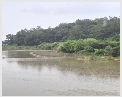  2025Ÿ��32903 ���� ���� �Ӿϵ� 456       ����(��)���