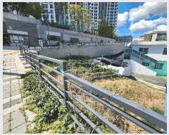  2025Ÿ��33083  �Ӿ߰��