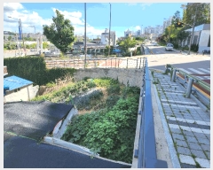  2025Ÿ��33083  �Ӿ߰��