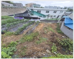  2025Ÿ��33083  �Ӿ߰��