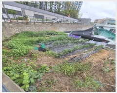  2025Ÿ��33083  �Ӿ߰��