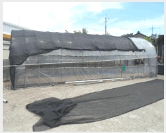  2025Ÿ��33112  ���ð��