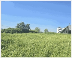  2025Ÿ��33246  ���������