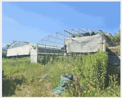  2025Ÿ��33246  ���������