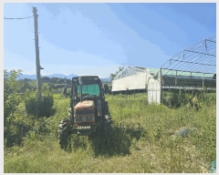  2025Ÿ��33246  ���������