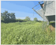  2025Ÿ��33246  ���������