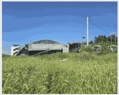  2025Ÿ��33246  ���������