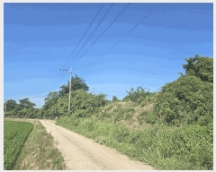  2025Ÿ��33246  ���������