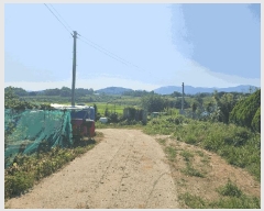  2025Ÿ��33246  ���������