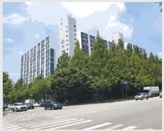  2025Ÿ��33363  ����Ʈ���