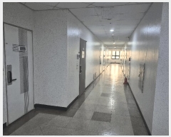  2025Ÿ��33525  ���ǽ��ڰ��