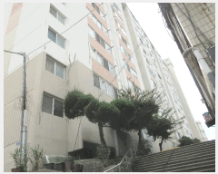  2025Ÿ��33691  ����Ʈ���