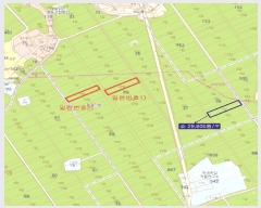  2025Ÿ��34576 ���� ��籺 ���ϸ� ���긮 33-9      ����(��)���