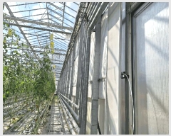  2025Ÿ��639  â�����