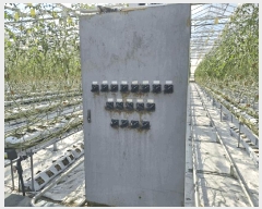  2025Ÿ��639  â�����