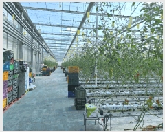  2025Ÿ��639  â�����