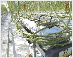  2025Ÿ��639  â�����