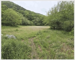  2025Ÿ��2017 ���� ���� ���굿 52-19       ����(�Ӿ�)���