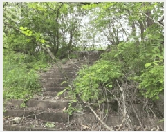  2025Ÿ��2017 ���� ���� ���굿 52-19       ����(�Ӿ�)���